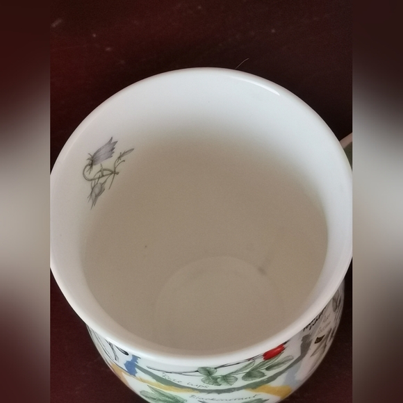 Dunoon Fine Bone China "Nature's Garden" Floral Mug - Picture 10 of 10